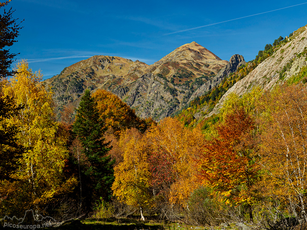 Foto: Otoño en el Valle de Varrados en Val d'Aran, Pirineos, Catalunya. Al fondo el pico Montlude.